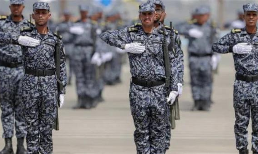 التقديم المباحث العامة