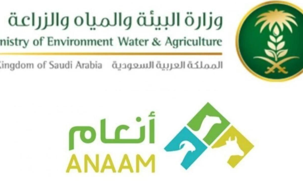 منصة أنعام