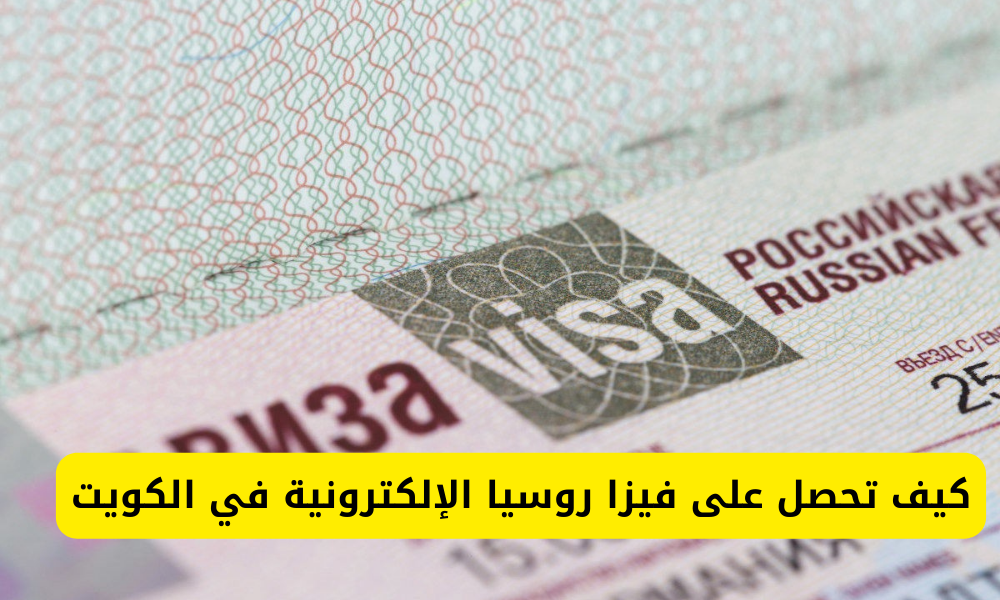 فيزا روسيا الإلكترونية