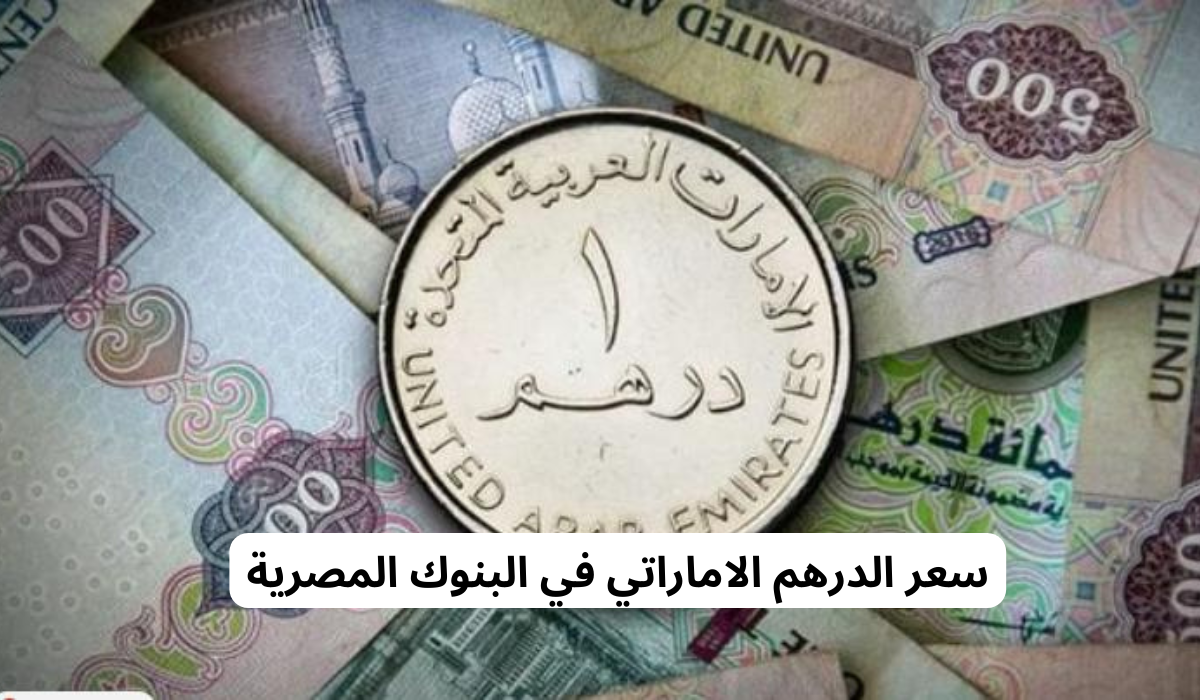 سعر الدرهم مقابل الجنيه المصري في السوق السودا 