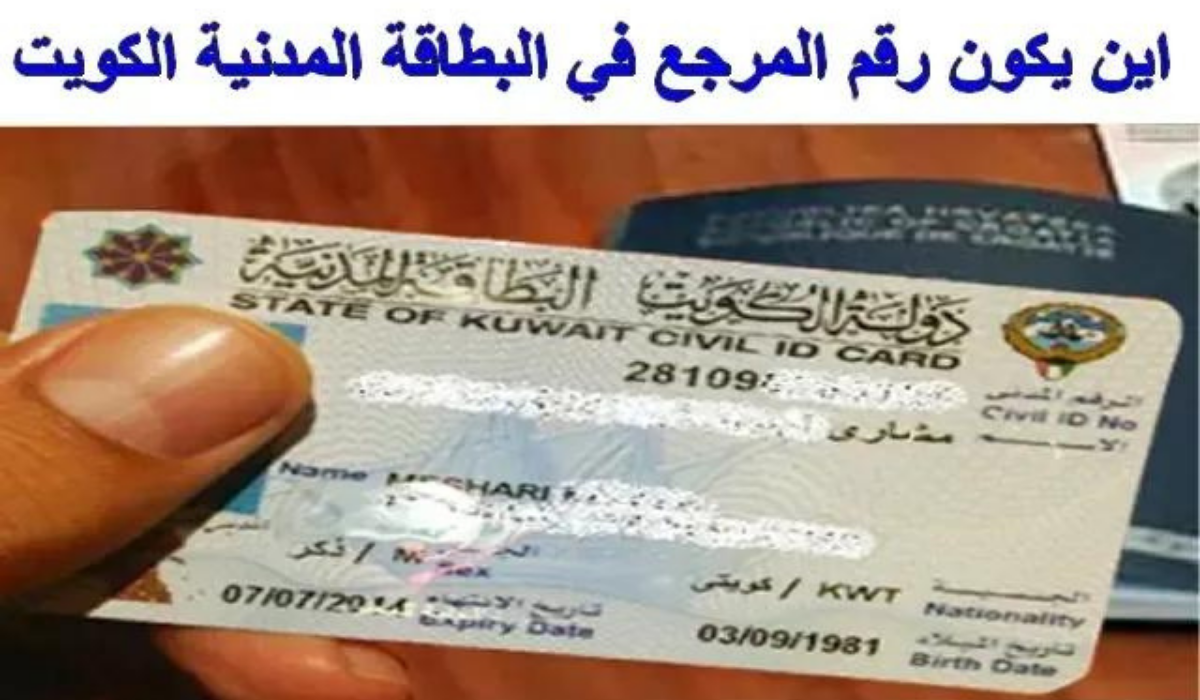 رقم المرجع 