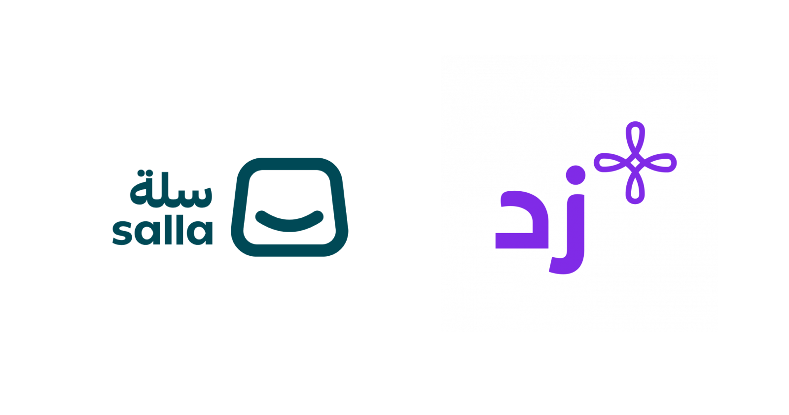 الفرق بين منصة زد وسلة