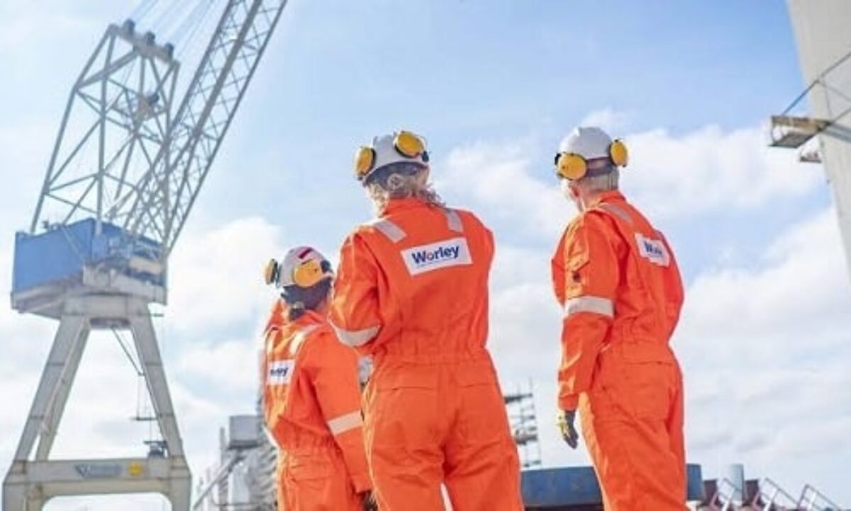 وظائف شركة وورلي قطر