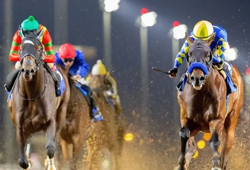 كم قيمة جوائز كأس السعودية لسباق الخيل 2023
