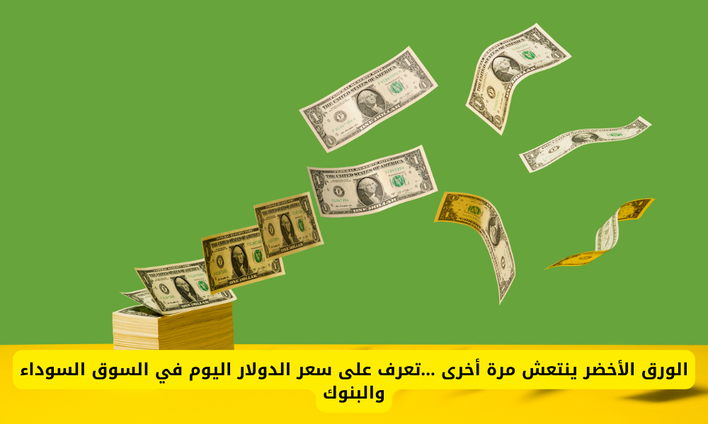 سعر الدولار في السوق السوداء