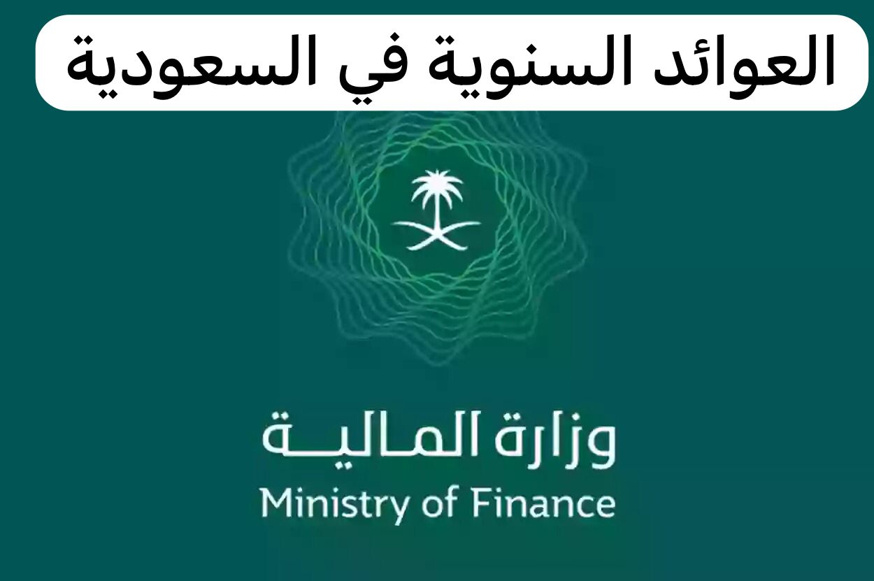 العوائد السنوية