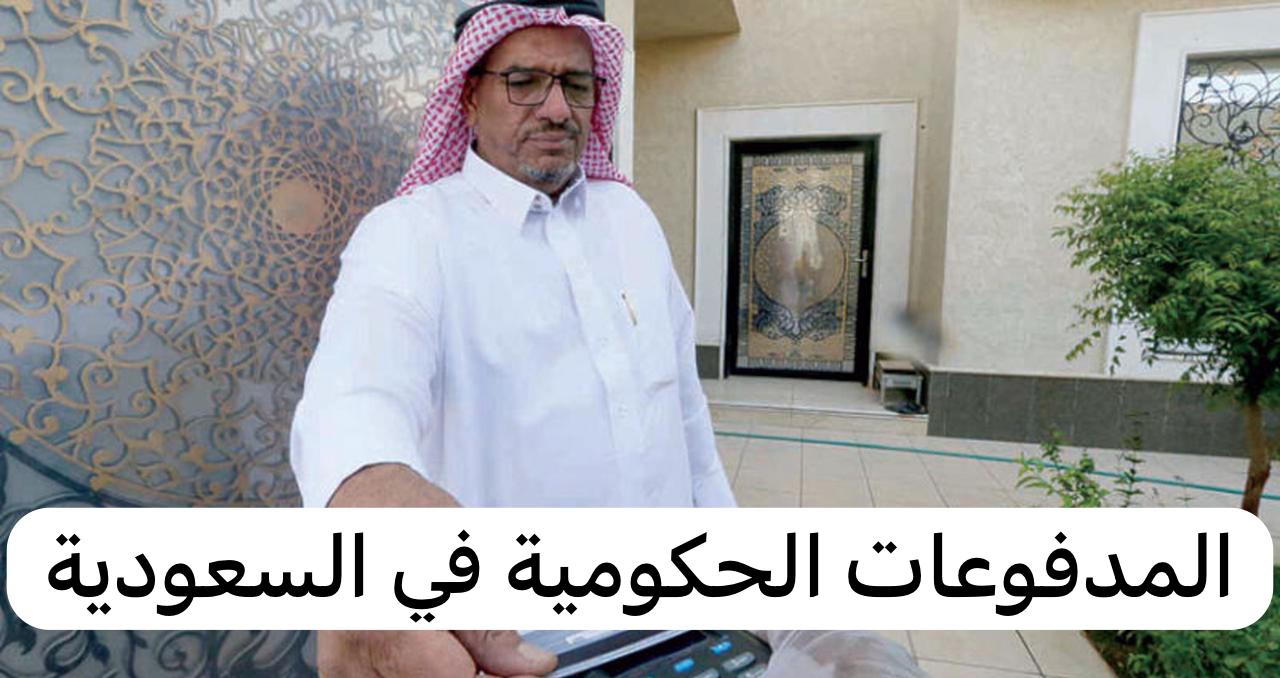 المدفوعات الحكومية