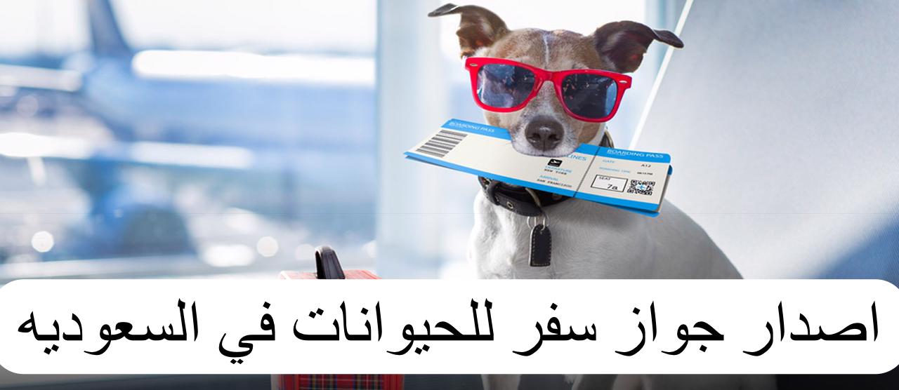 اصدار جواز سفر للحيوانات