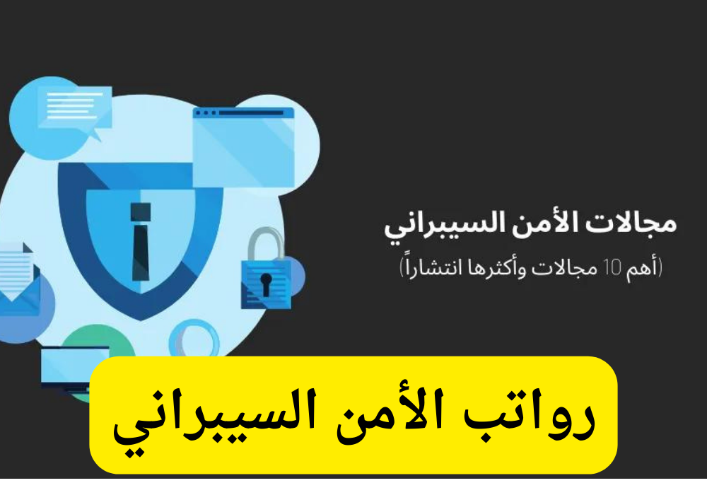 رواتب الأمن السيبراني