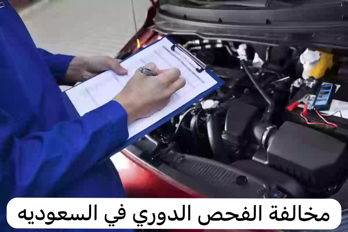 مخالفة الفحص الدوري