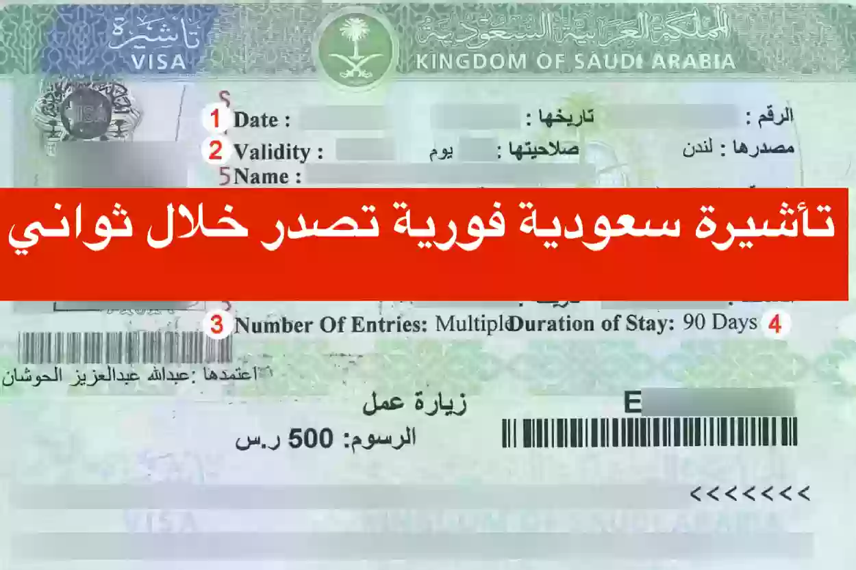 التأشيرة التعليمية للطلاب الدوليين
