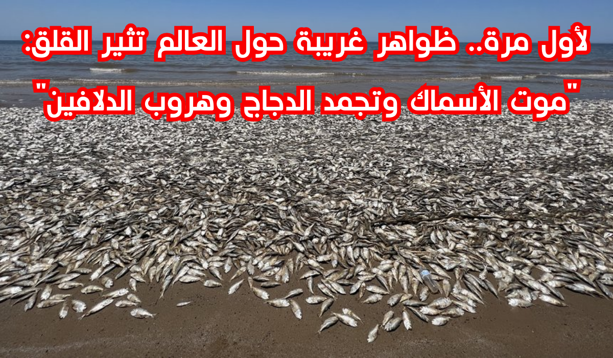 ظواهر عالمية غريبة 
