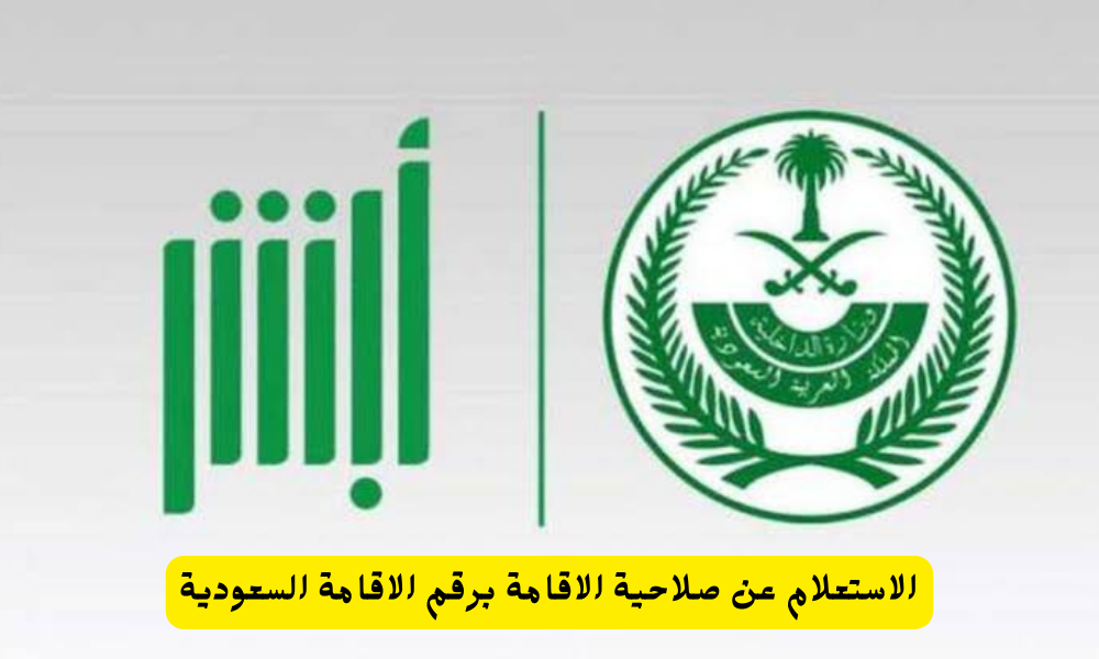 الاستعلام عن صلاحية الاقامة