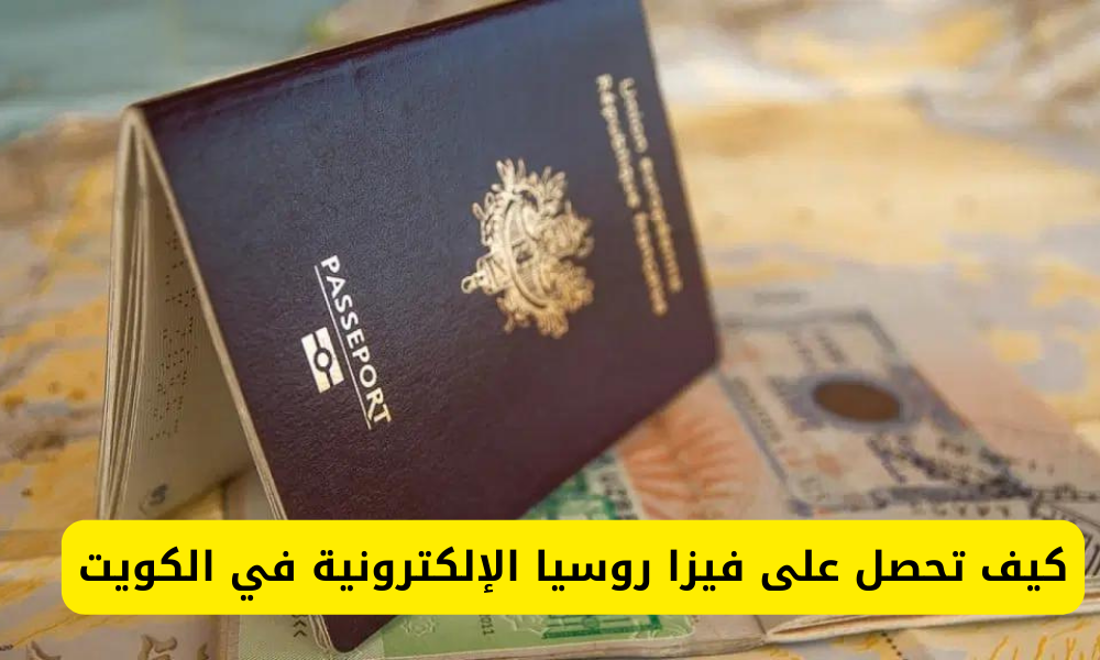 فيزا روسيا الإلكترونية