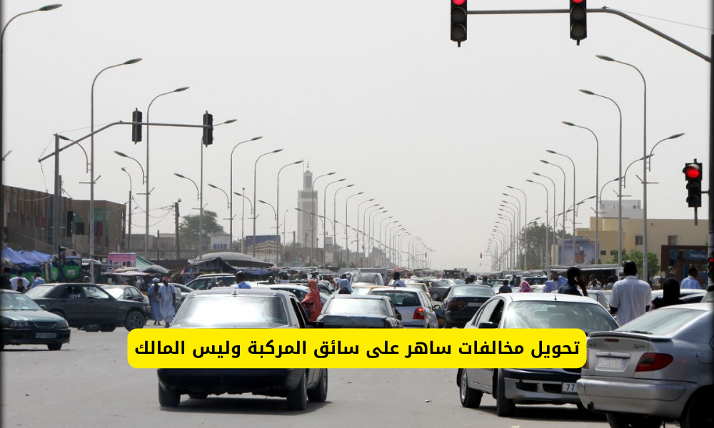 نقل المخالفات لسائق