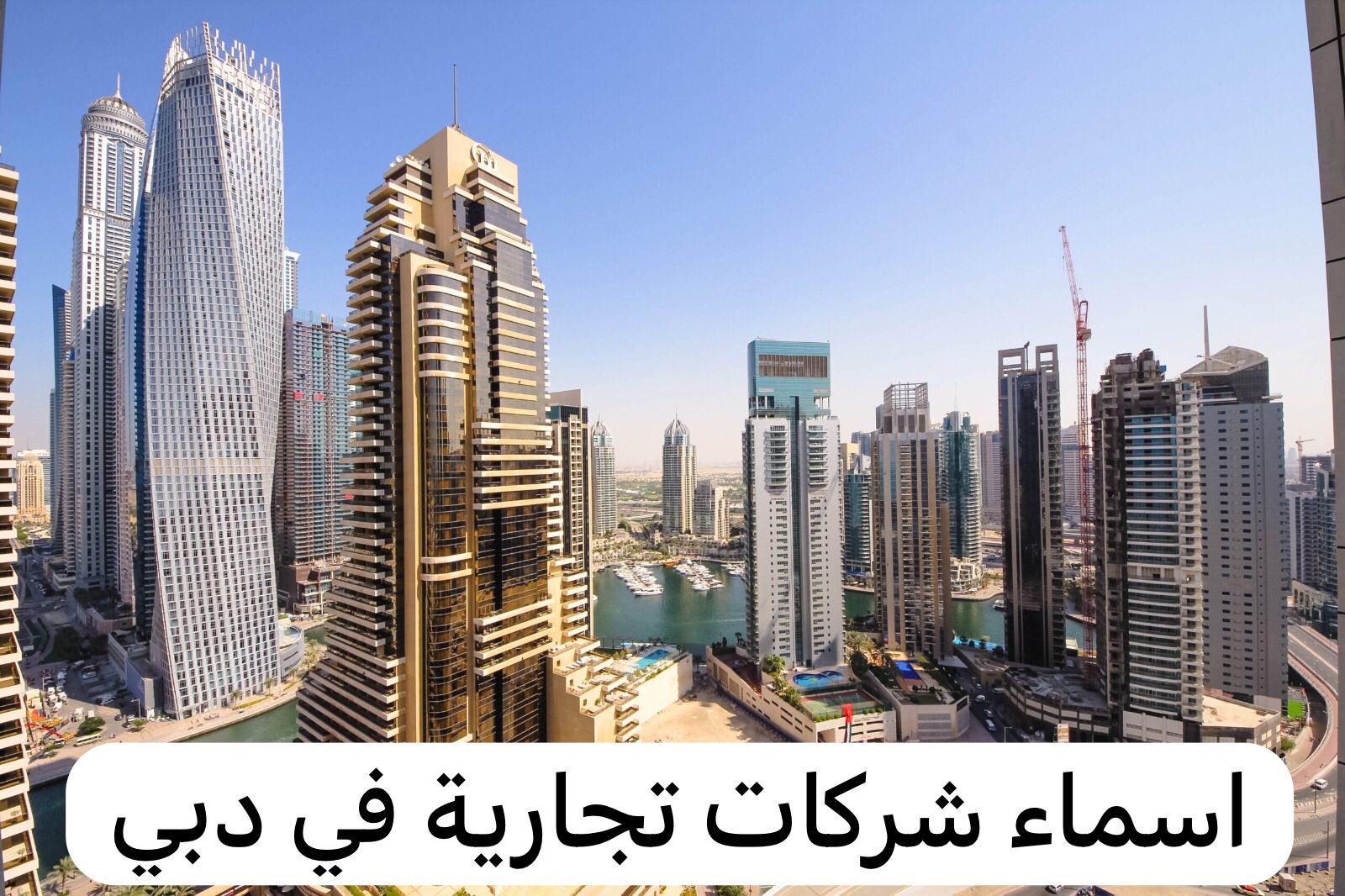 اسماء شركات تجارية في دبي