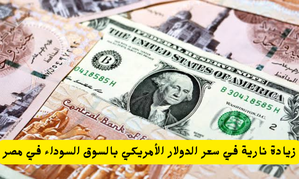 سعر الدولار اليوم في السوق السوداء