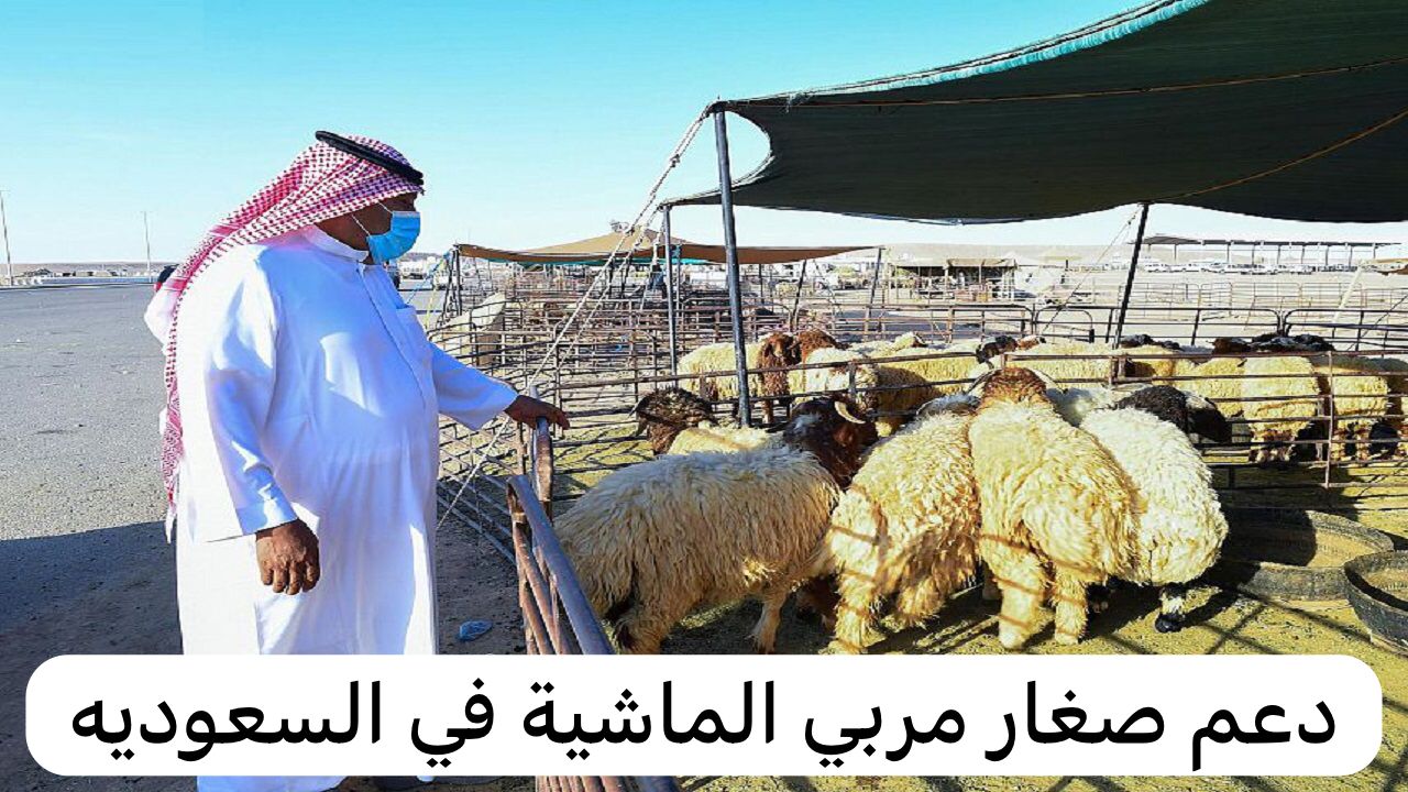 دعم صغار مربي الماشية