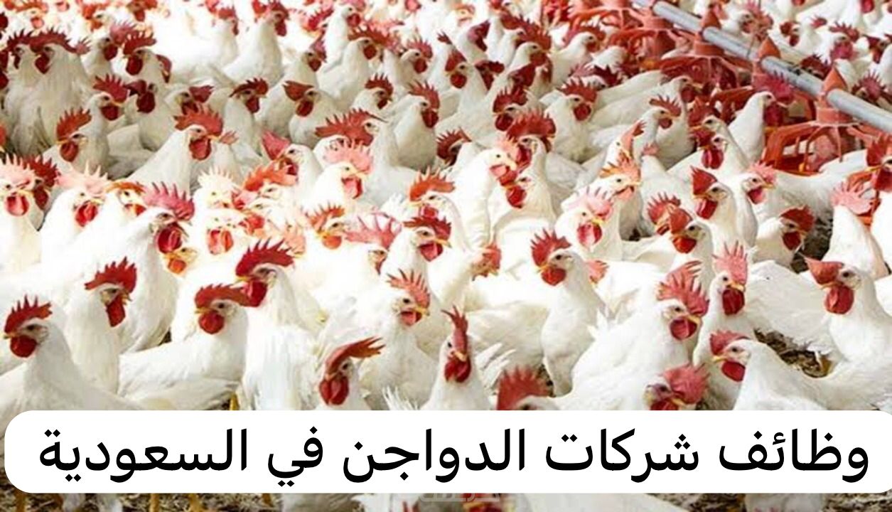 وظائف شركات الدواجن في السعودية