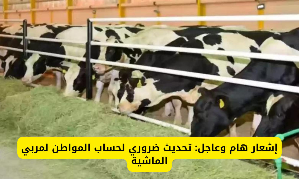 علاقة حساب المواطن بمربي الماشية