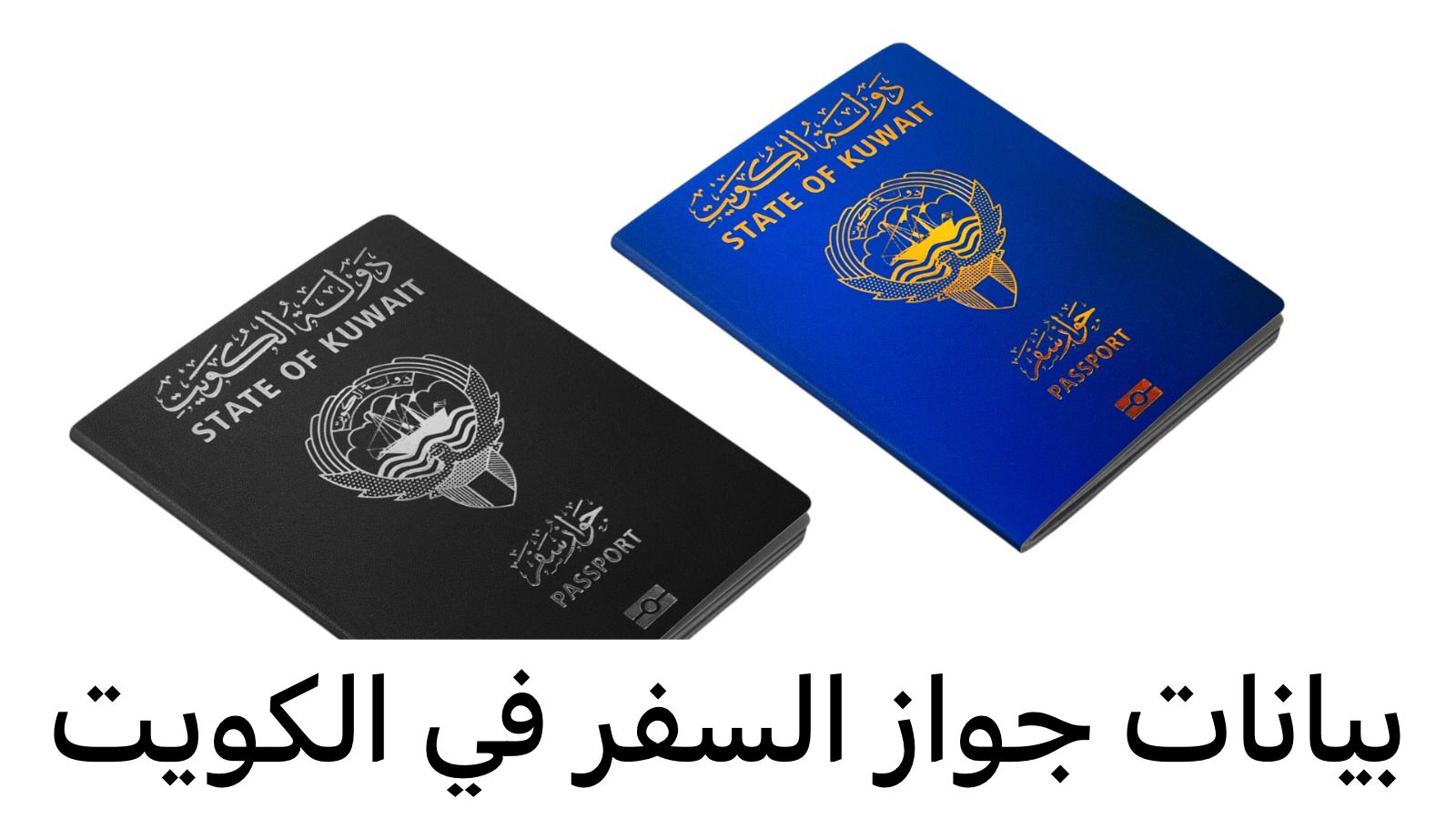 بيانات جواز السفر
