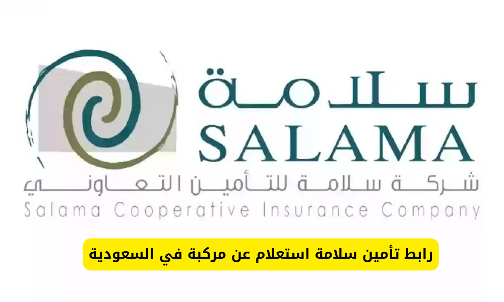 تأمين سلامة