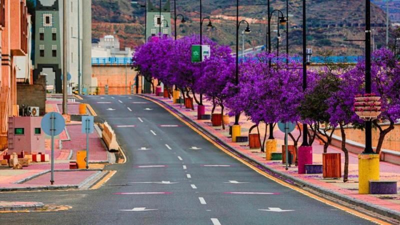 اماكن في أبها فخمه