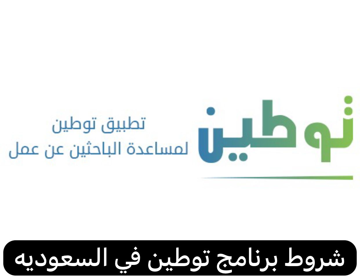شروط برنامج توطين