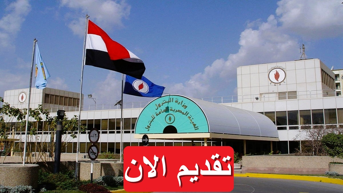 وظائف وزارة البترول للرجال