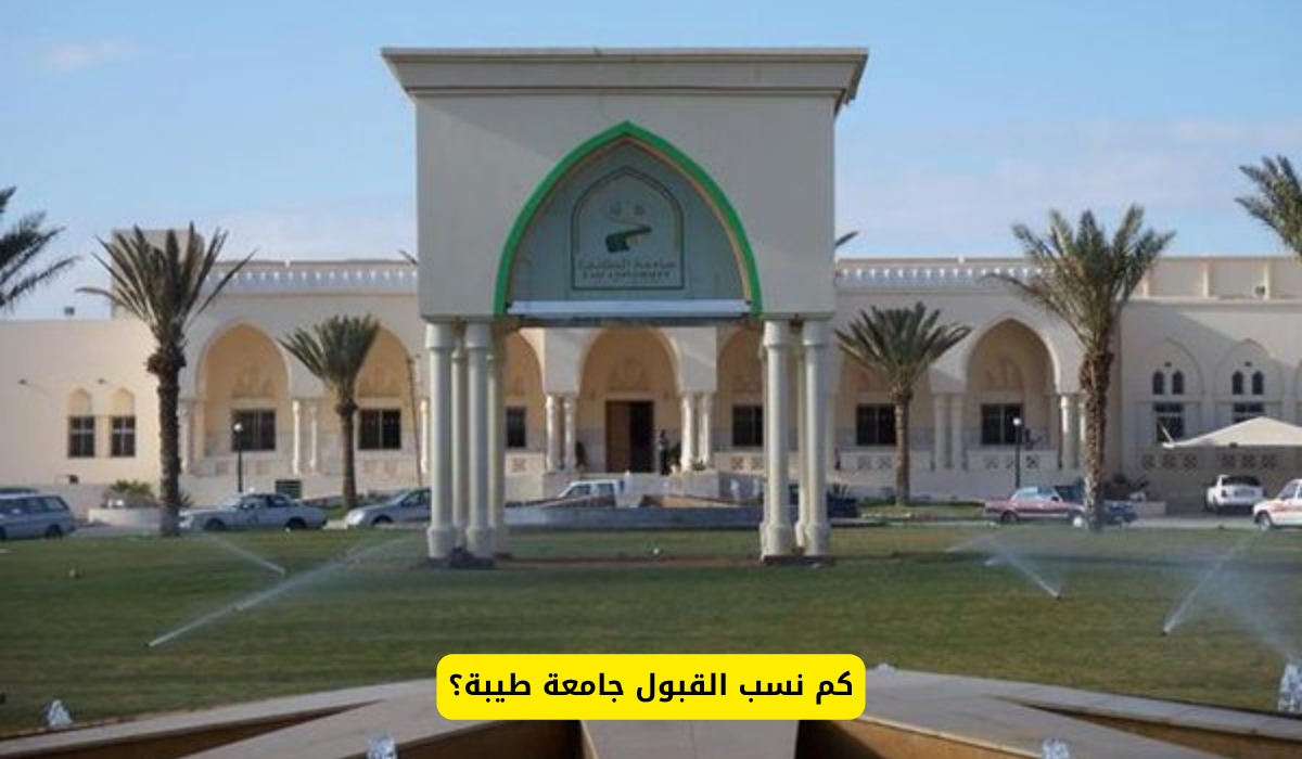 نسب القبول جامعة طيبة