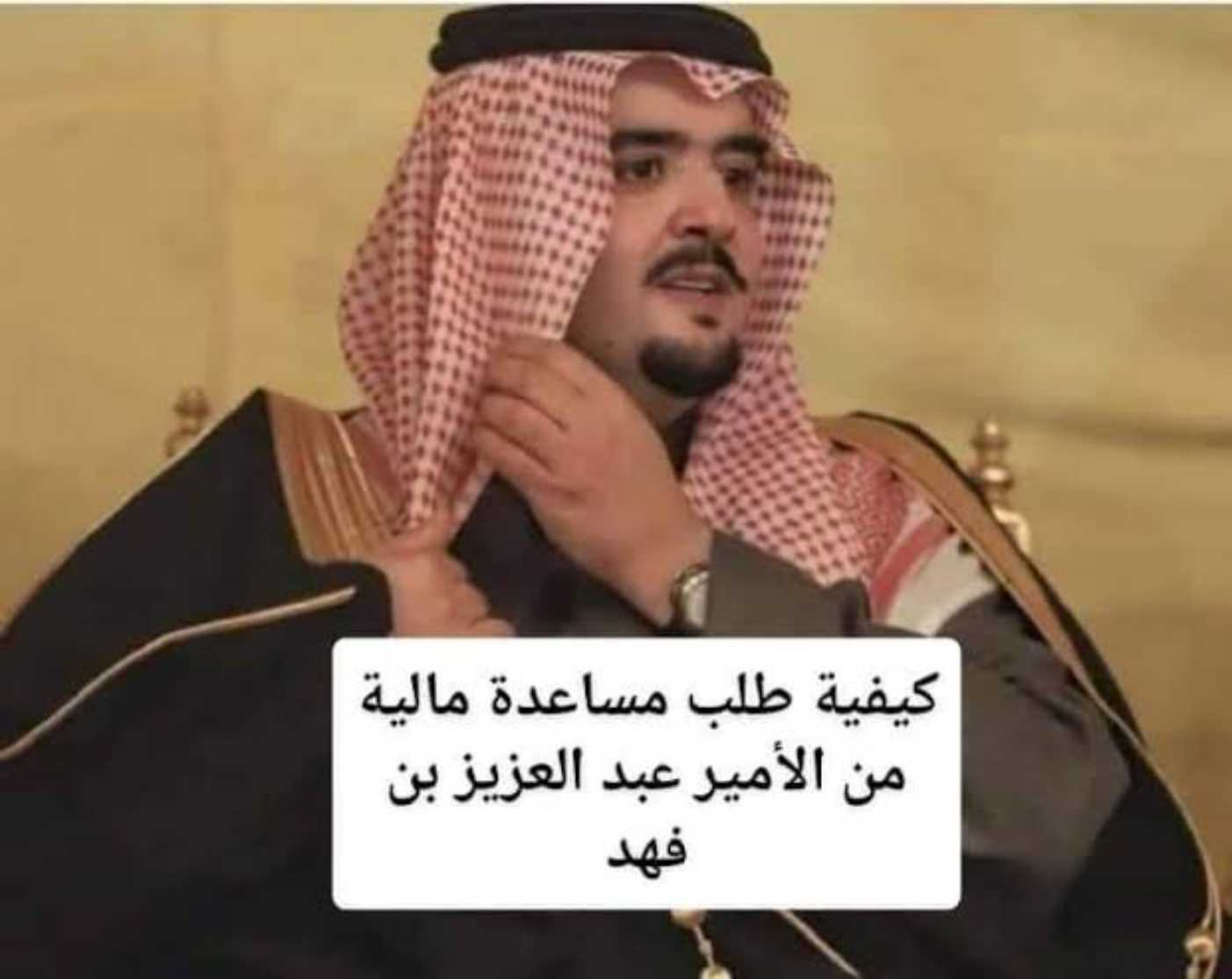 مساعدات الامير عبدالعزيز بن فهد