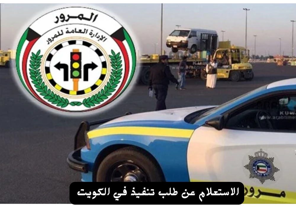 الاستعلام عن طلب تنفيذ