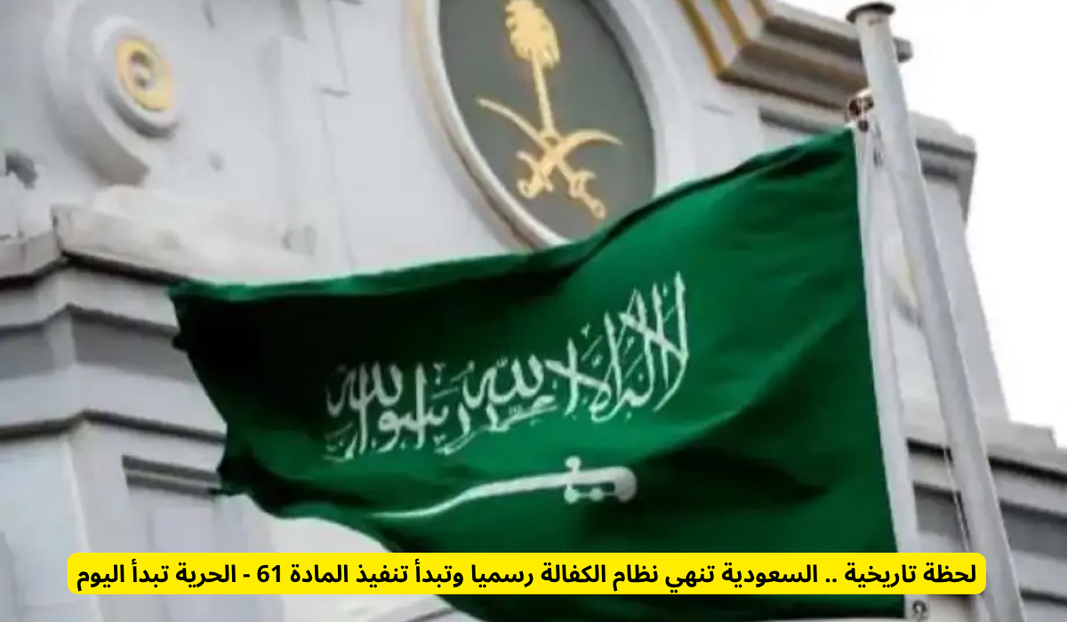 المادة 61