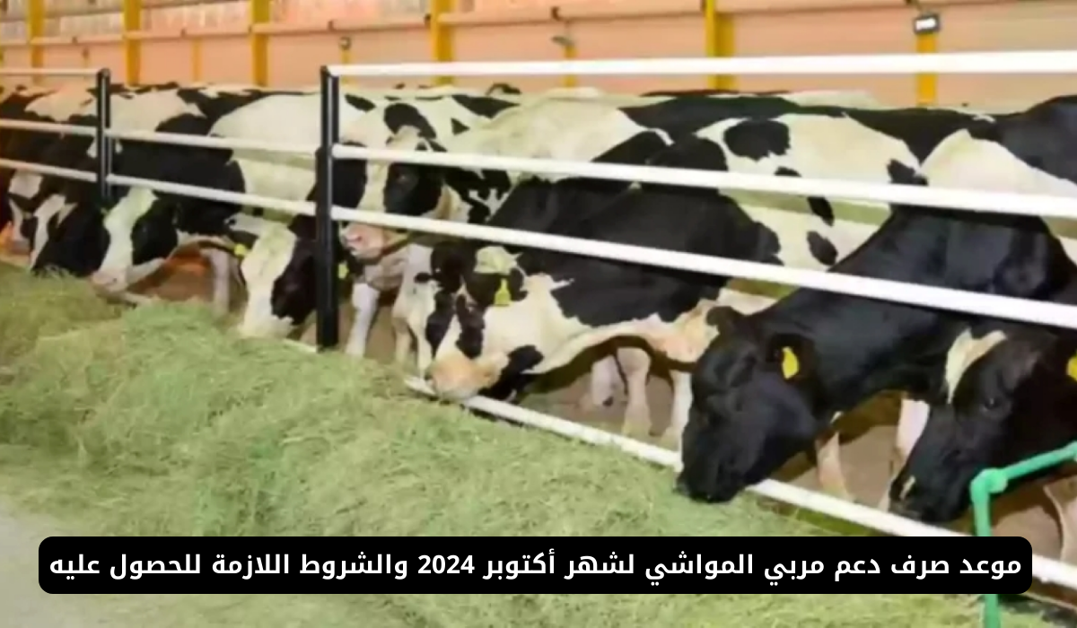 دعم مربي المواشي