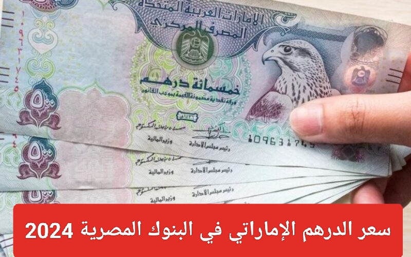 سعر الدرهم الإماراتي اليوم
