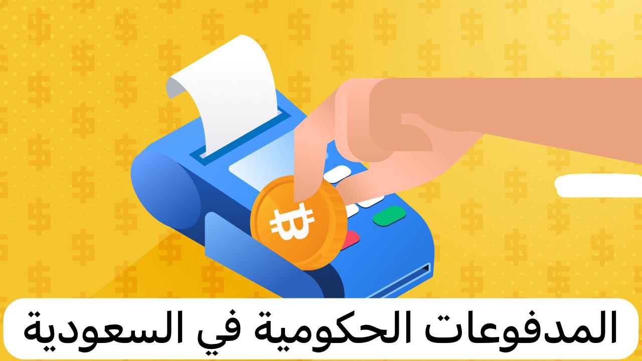 المدفوعات الحكومية