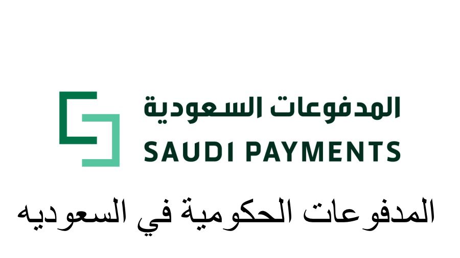 المدفوعات الحكومية