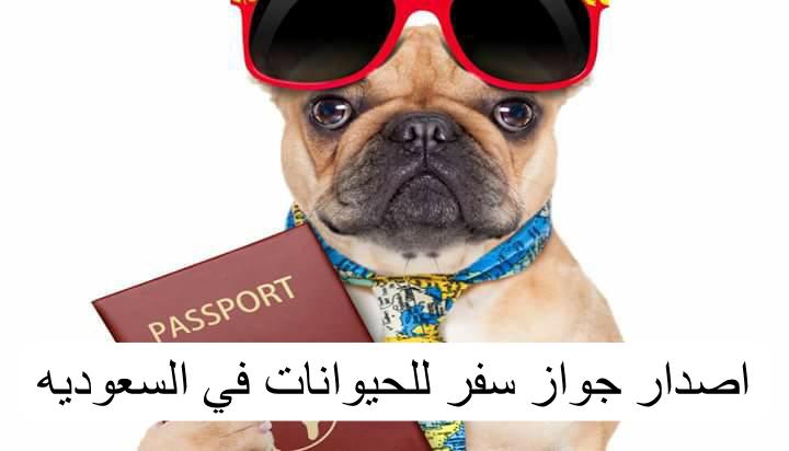 اصدار جواز سفر للحيوانات
