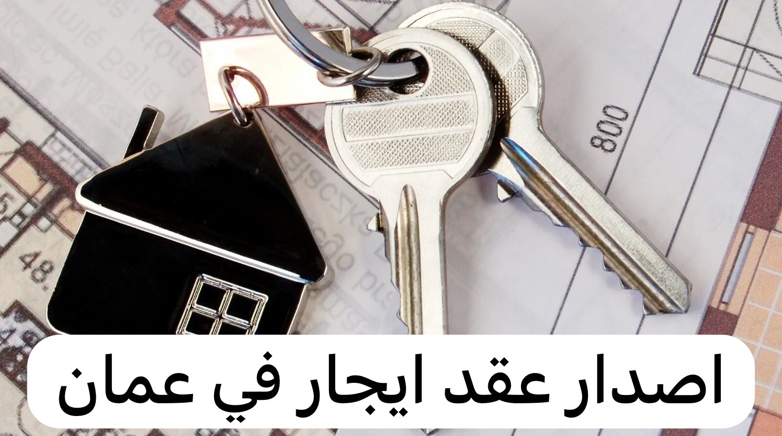 اصدار عقد ايجار