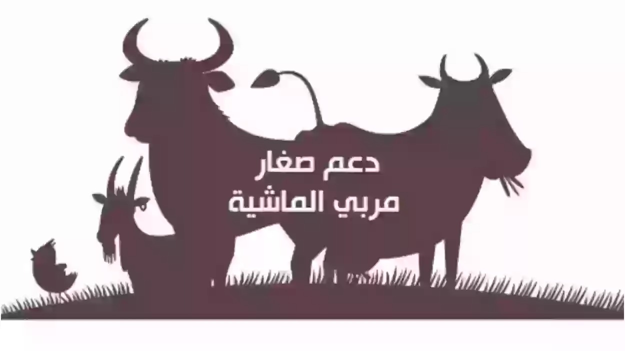 دعم صغار مربي الماشية