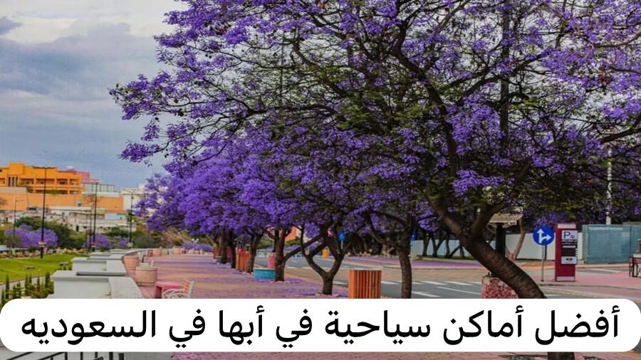 أفضل أماكن سياحية في أبها