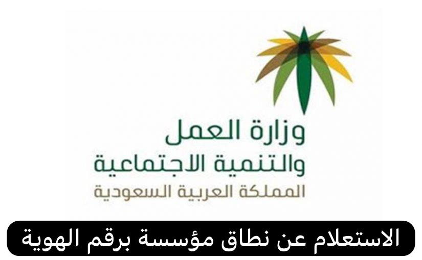 الاستعلام عن نطاق مؤسسة 