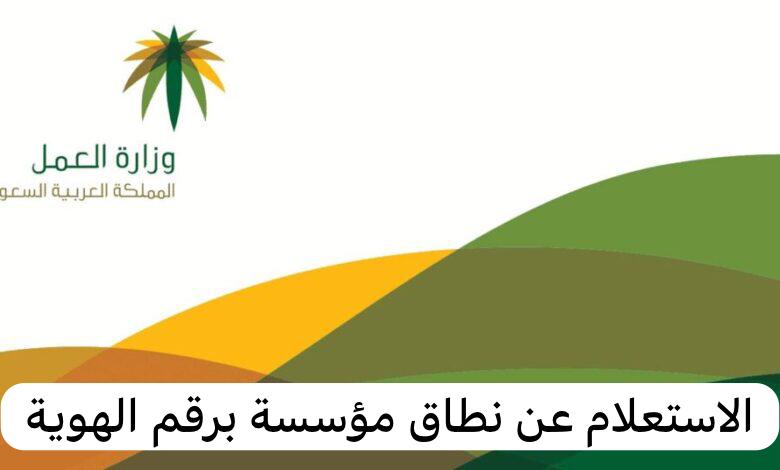 الاستعلام عن نطاق مؤسسة برقم الهوية 