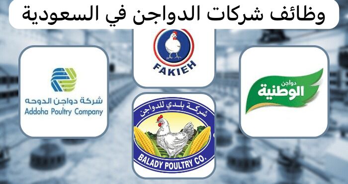 وظائف شركات الدواجن في السعودية