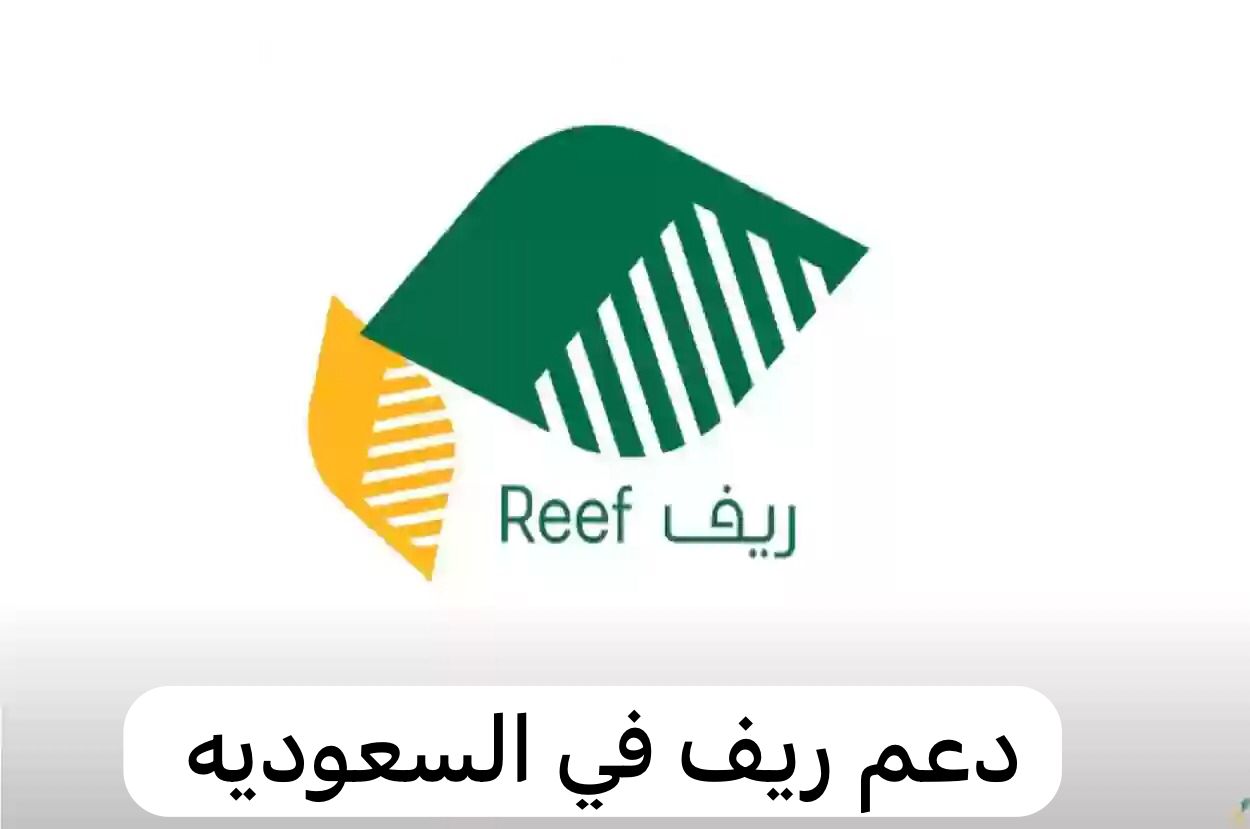 دعم ريف