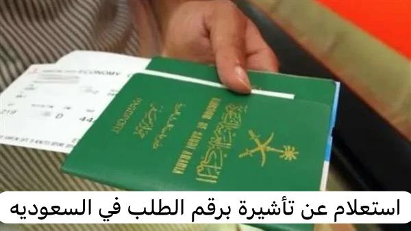 استعلام عن تأشيرة برقم الطلب