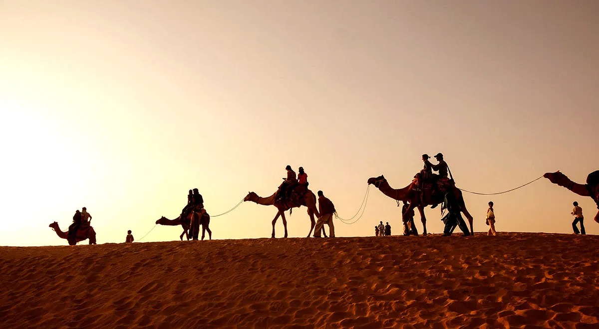 الخرجي وش يرجعون.. جميع المعلومات عن قبيلة الخرجي