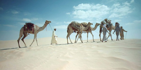 بارق وش يرجعون.. جميع المعلومات عن قبيلة بارق