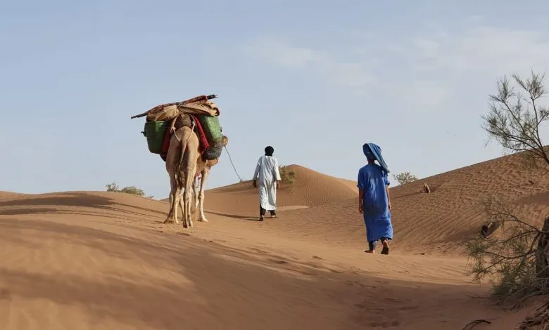 بنو مالك وش يرجعون.. جميع المعلومات عن قبيلة بنو مالك
