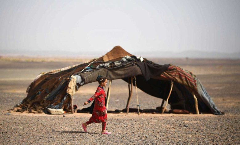 بنو هاجر وش يرجعون.. جميع المعلومات عن قبيلة بنو هاجر